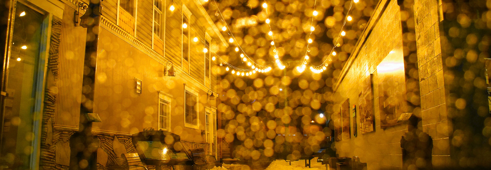 Hoopskirt Alley in Michigan