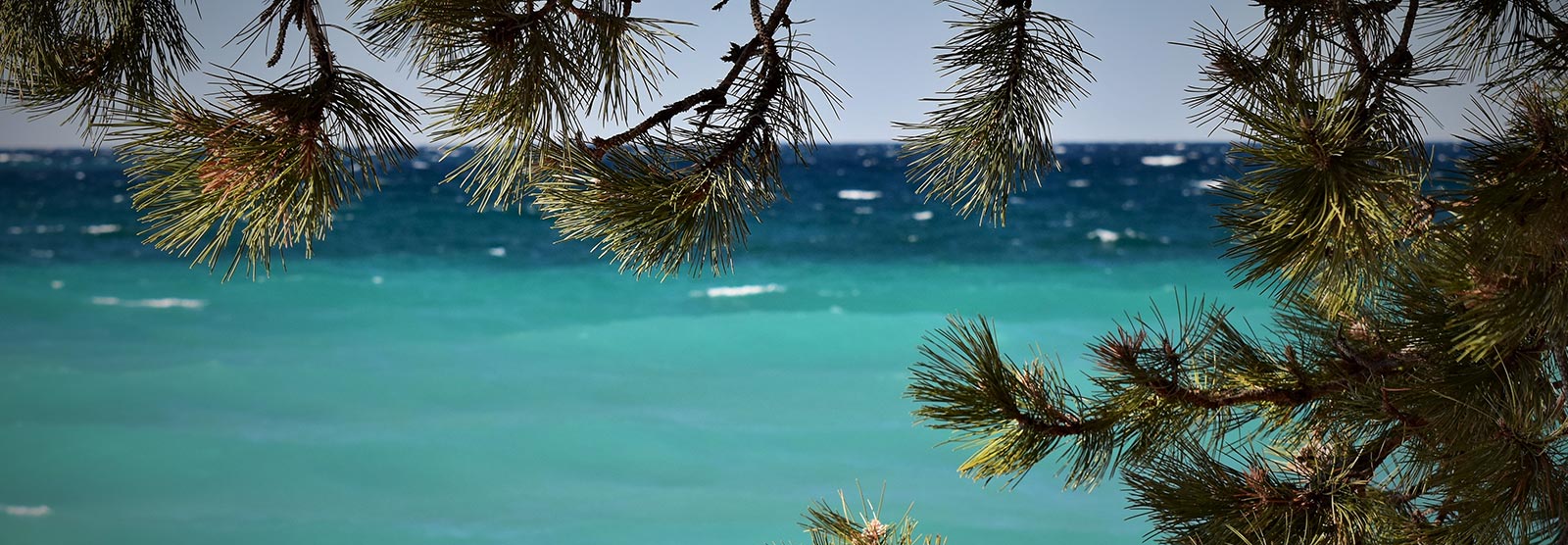 Beach in winter